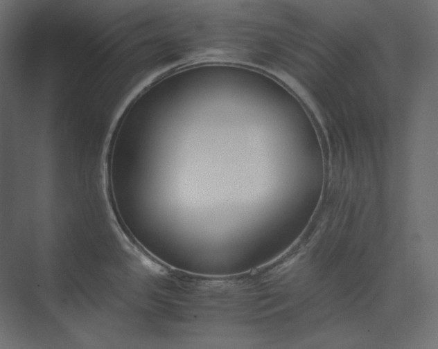 X0000073901341200608251447