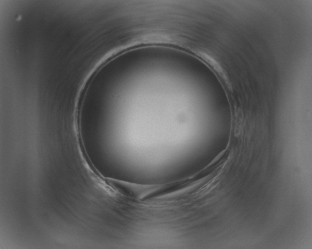 X0000073901342200608251447