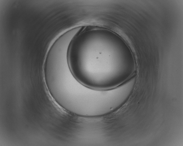 X0000073901344200608251447