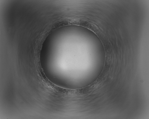 X0000073901345200608251447