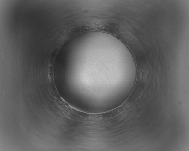 X0000073901346200608251447