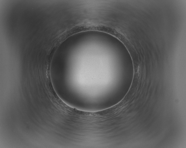 X0000073901348200608251446