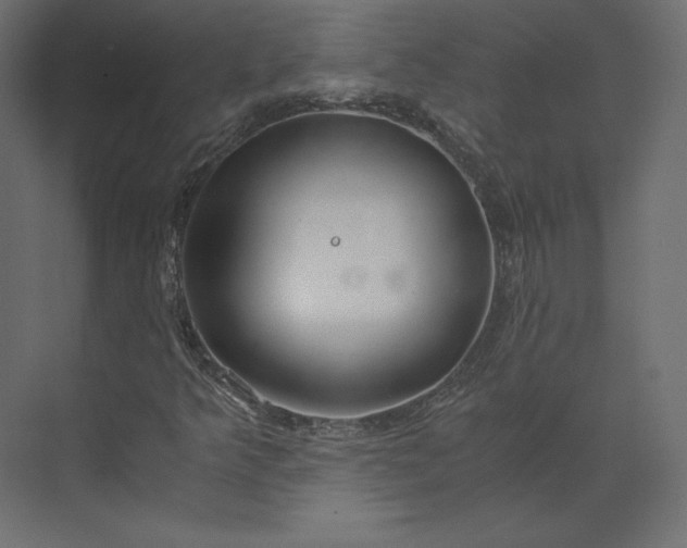 X0000073901349200608251446