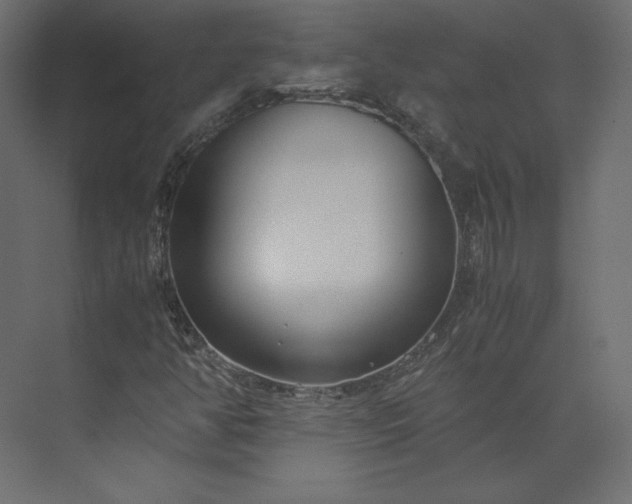 X0000073901350200608251446