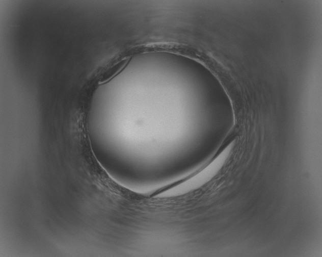 X0000073901351200608251446