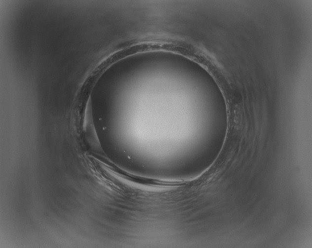 X0000073901352200608251446