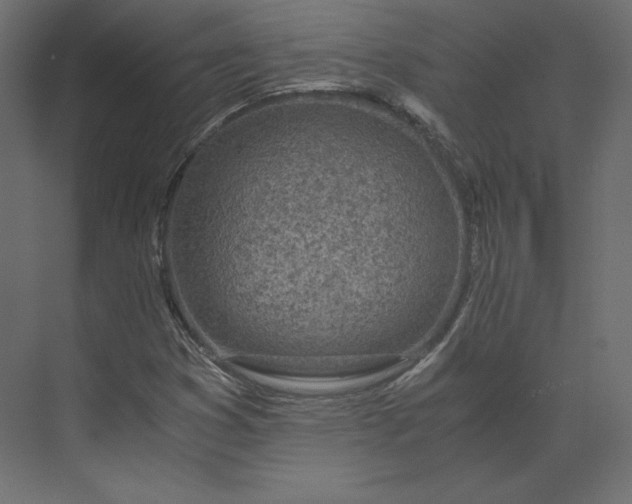 X0000073901353200608251446