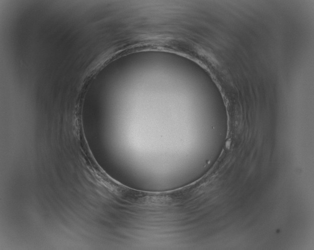 X0000073901354200608251446