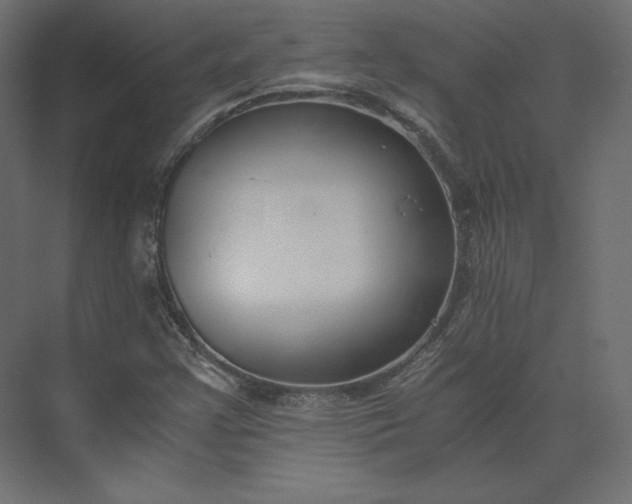 X0000073901355200608251446