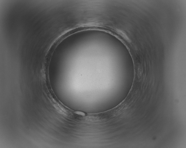 X0000073901356200608251446