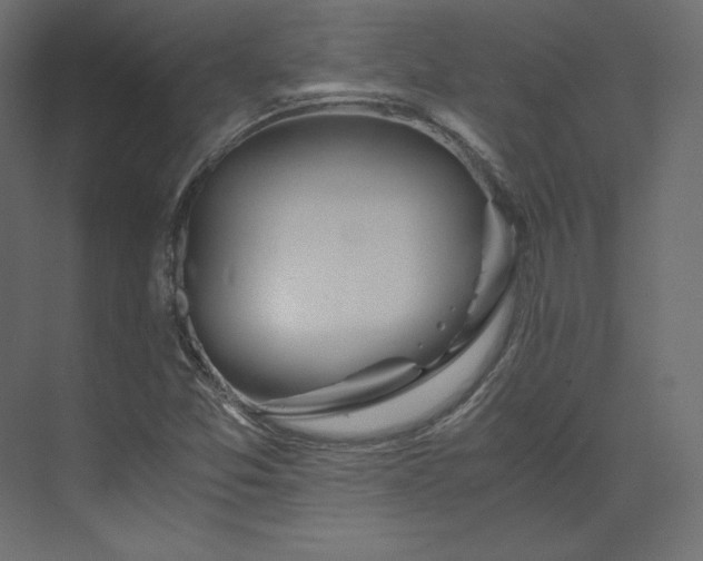 X0000073901357200608251446