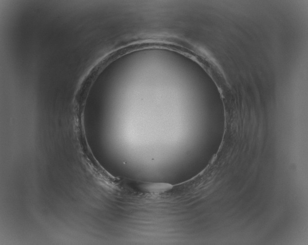 X0000073901360200608251446