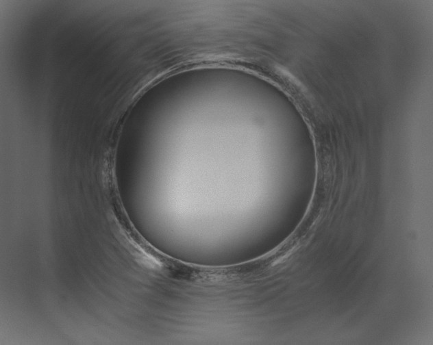 X0000073901361200608251446