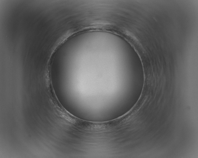 X0000073901362200608251446