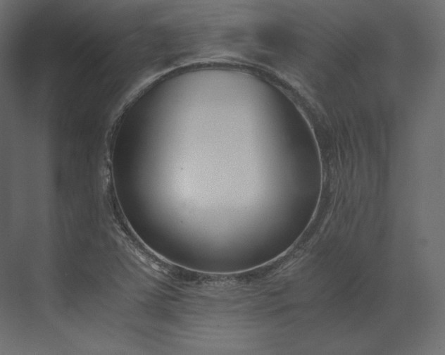 X0000073901363200608251446