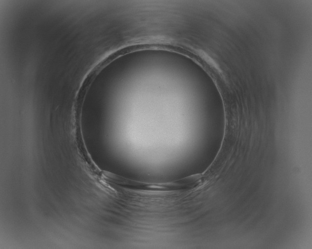 X0000073901364200608251446