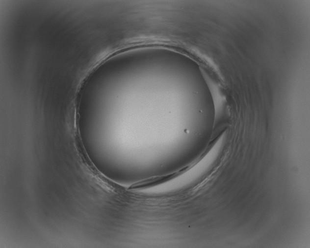 X0000073901365200608251446