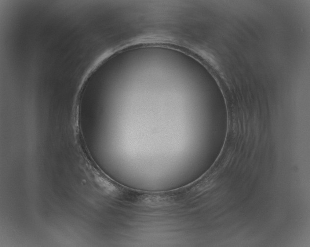 X0000073901366200608251446