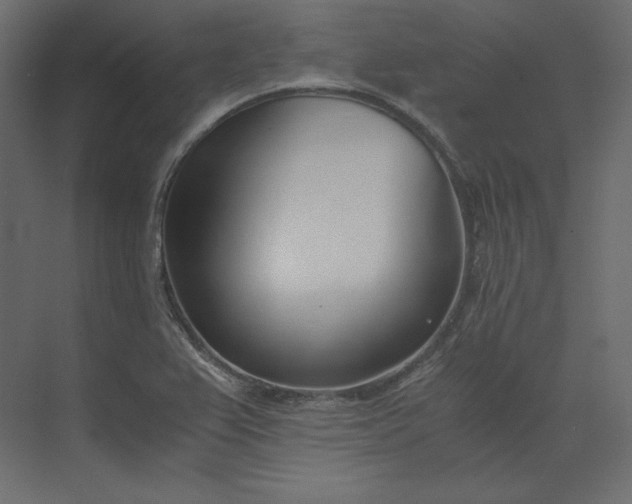 X0000073901367200608251446