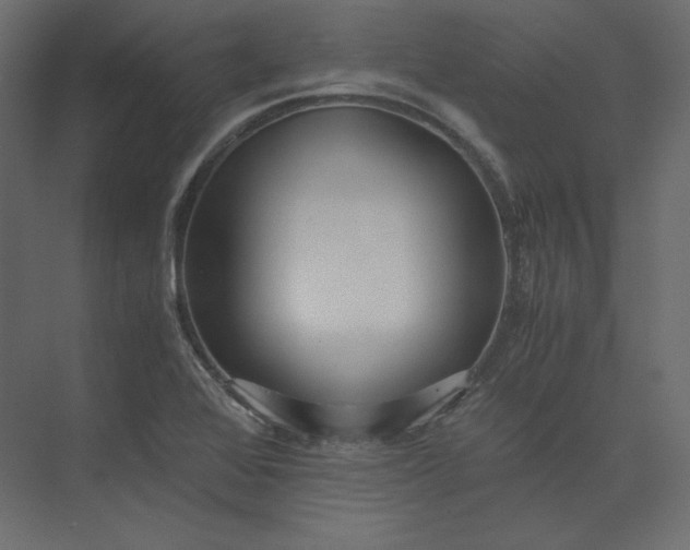 X0000073901368200608251446