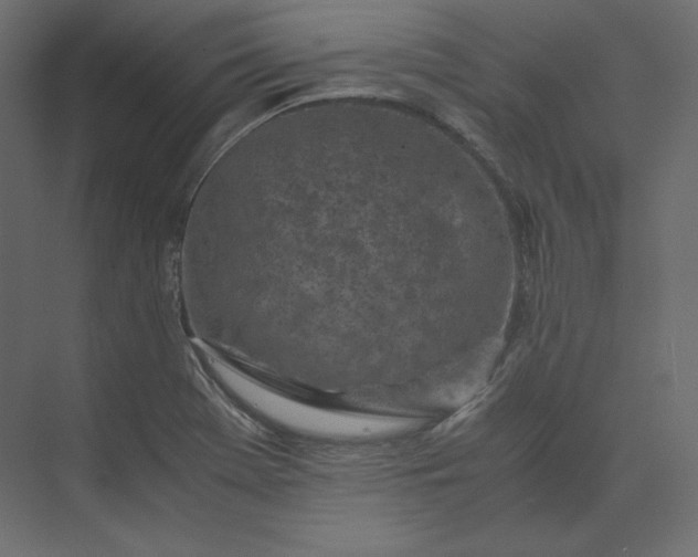 X0000073901369200608251446