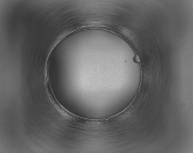 X0000073901370200608251446