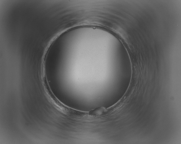 X0000073901371200608251446