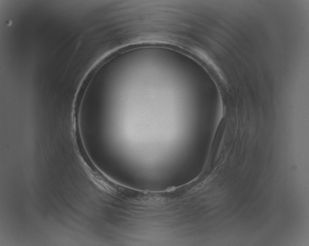 X0000073901372200608251446