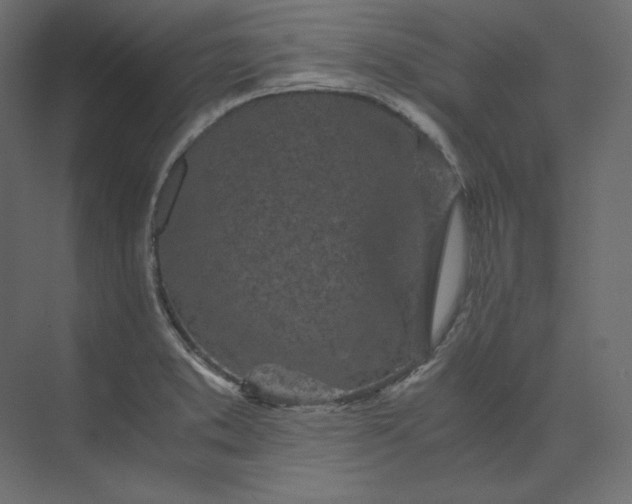 X0000073901373200608251446