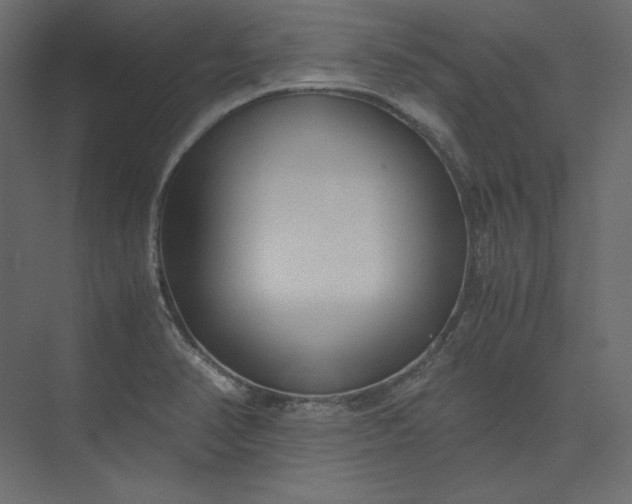 X0000073901374200608251446