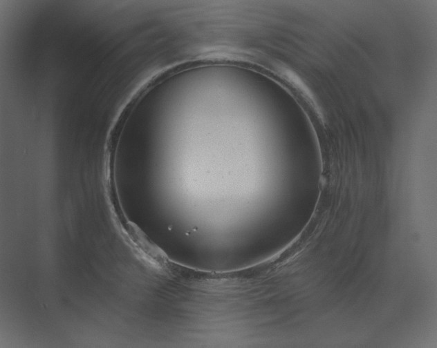 X0000073901376200608251446