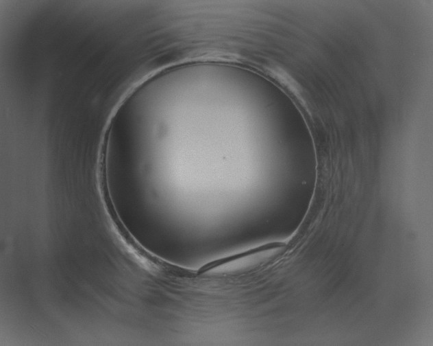 X0000073901379200608251446