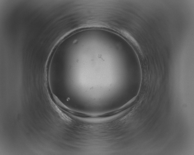 X0000073901380200608251446