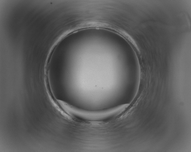 X0000073901381200608251446