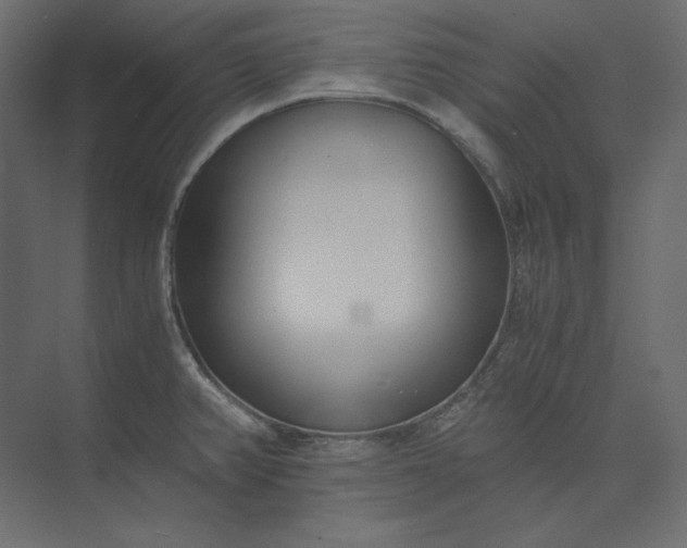 X0000073901382200608251446