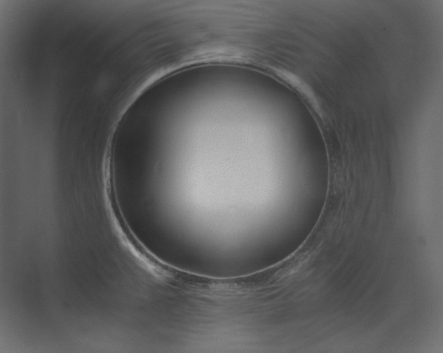 X0000073901383200608251446