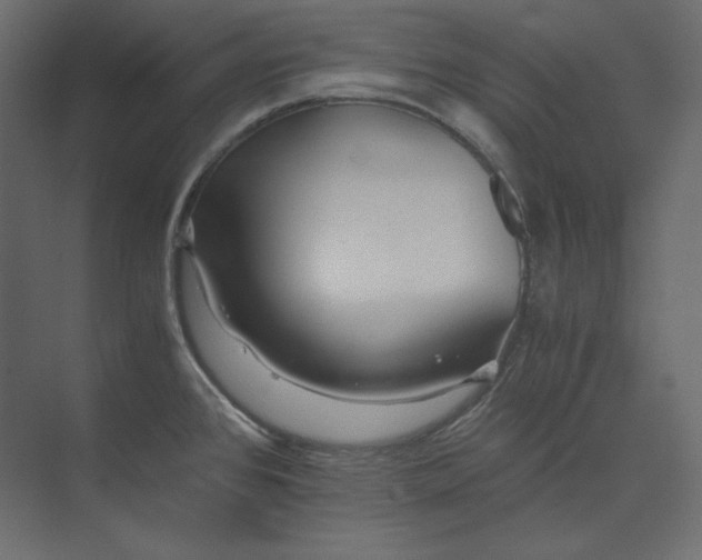 X0000073901384200608251446