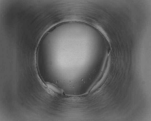 X0000073901388200608251446