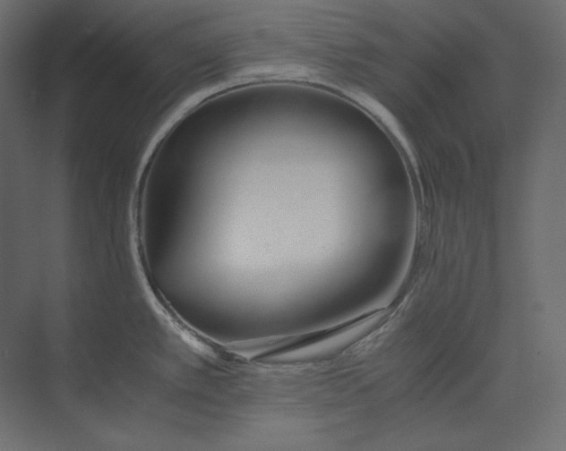 X0000073901389200608251446