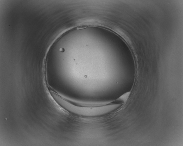 X0000073901392200608251446