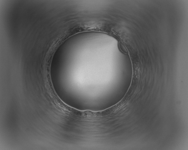 X0000073901393200608251445