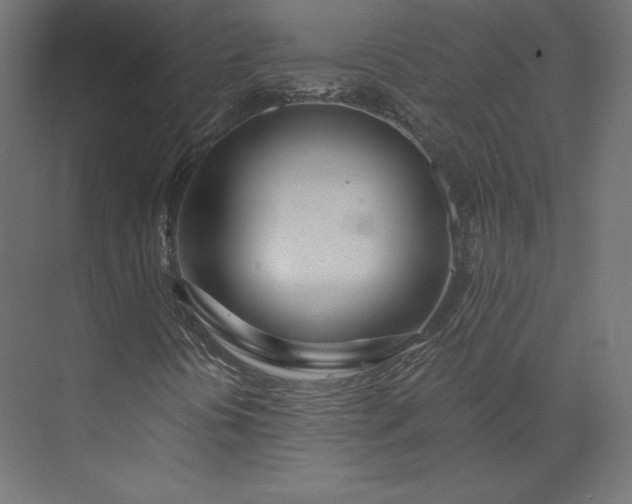 X0000073901394200608251445