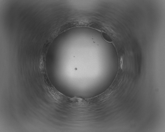 X0000073901395200608251445