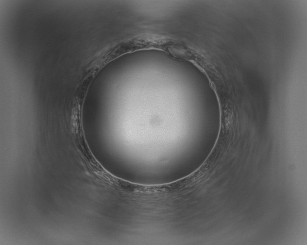 X0000073901397200608251445