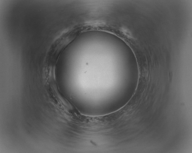 X0000073901398200608251445