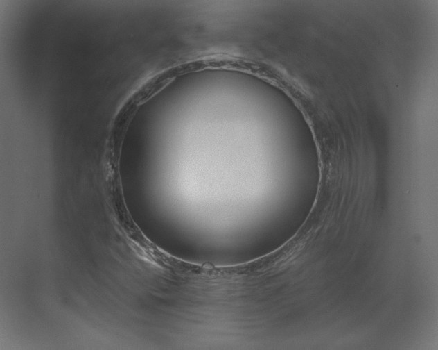 X0000073901400200608251445