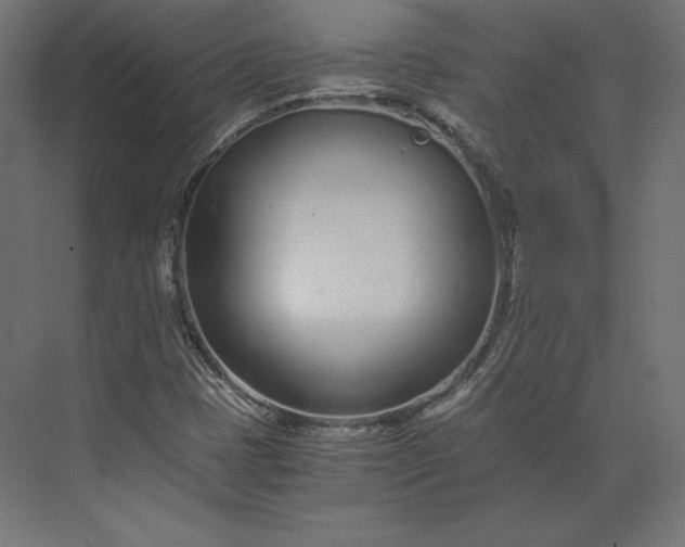 X0000073901401200608251445