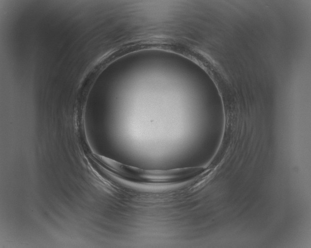 X0000073901402200608251445