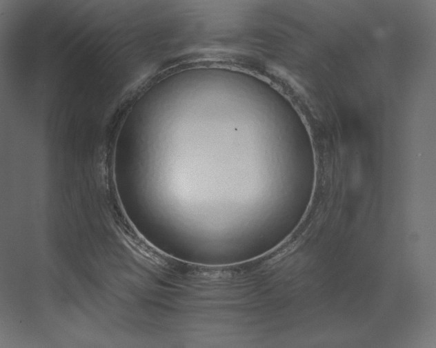 X0000073901403200608251445