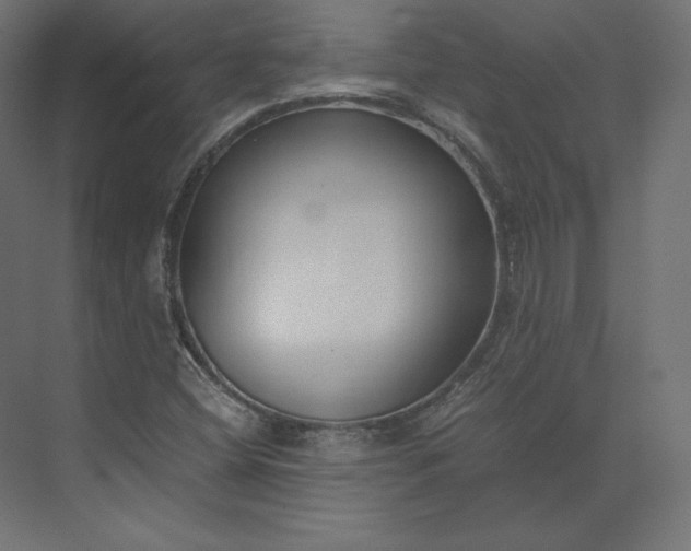 X0000073901404200608251445